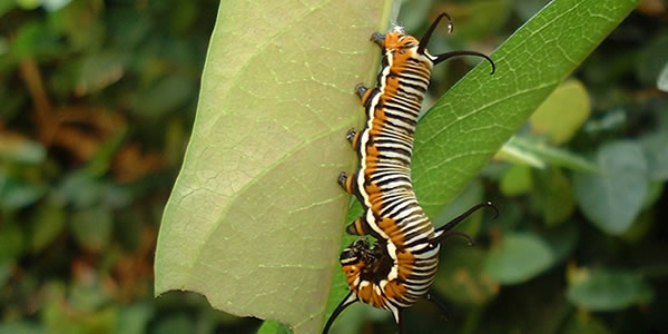 免费ddos攻击网页端